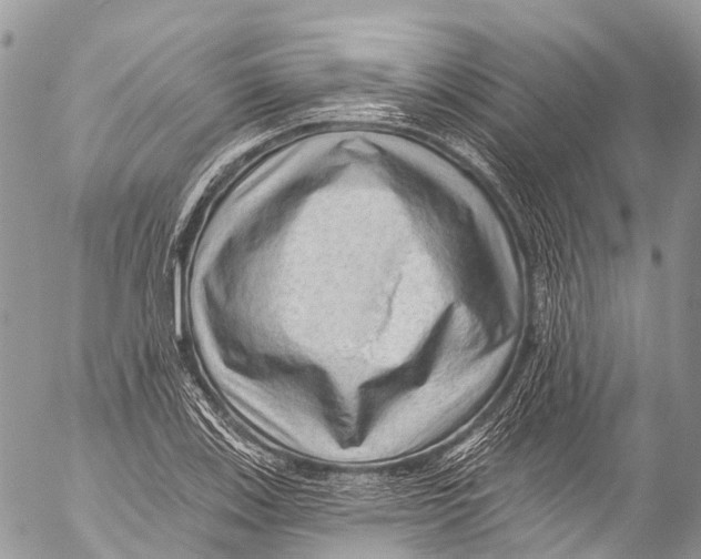 X0000053101123200508081329