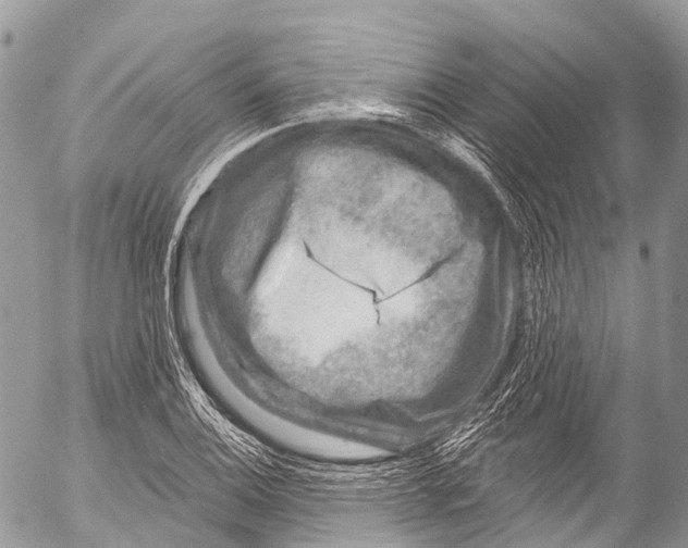 X0000053101124200508081329