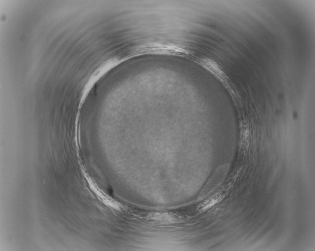 X0000053101128200508081329