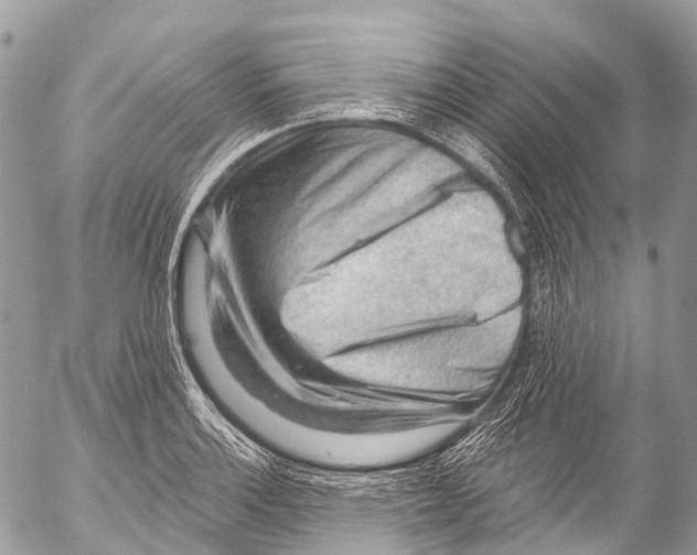 X0000053101132200508081329