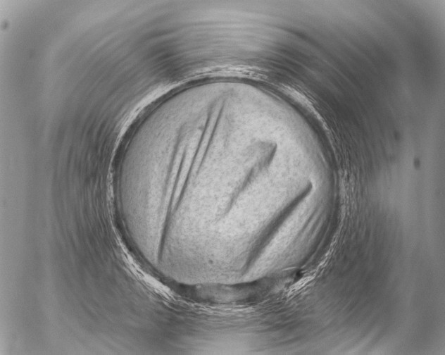 X0000053101133200508081330
