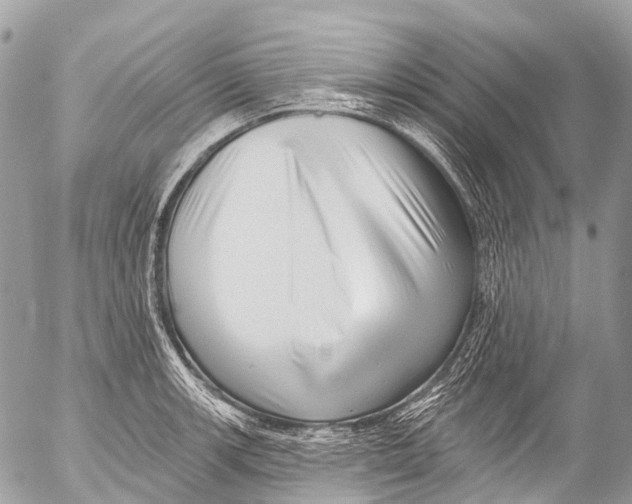 X0000053101139200508081330