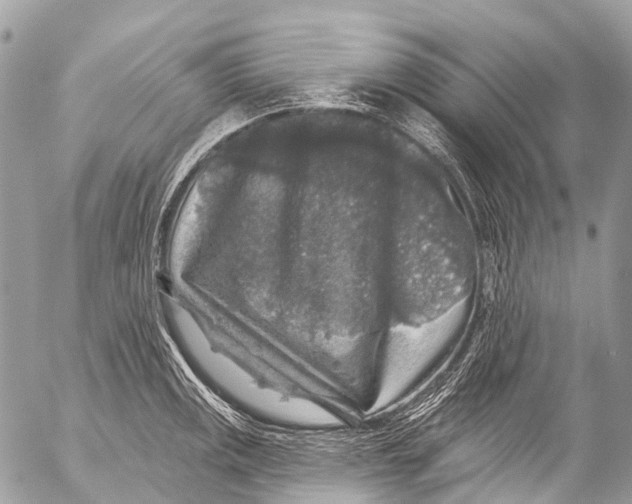 X0000053101141200508081330