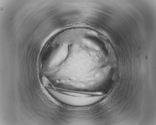 X0000053101142200508081330