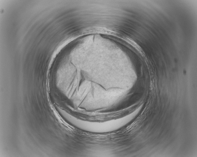 X0000053101144200508081330