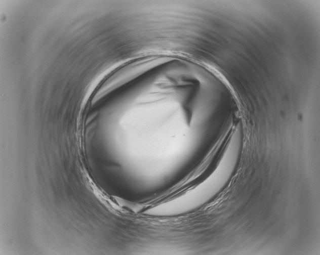 X0000053101148200508081330