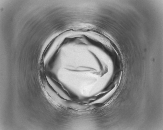 X0000053101152200508081330