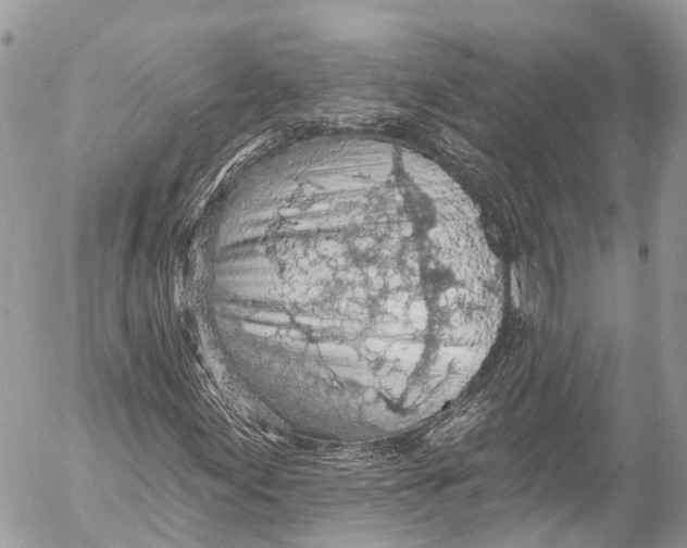 X0000053101155200508081329
