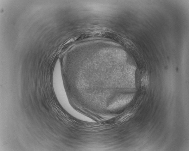 X0000053101156200508081329