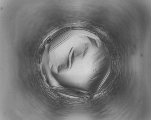 X0000053101160200508081329