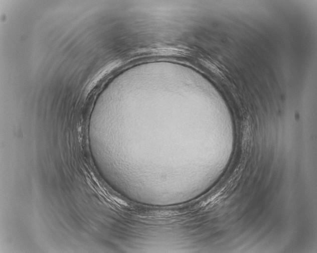 X0000053101163200508081329