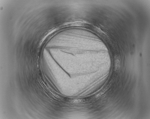 X0000053101166200508081329