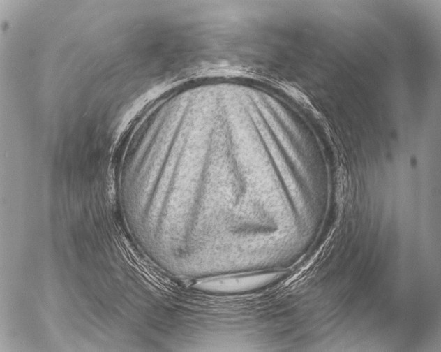 X0000053101167200508081329
