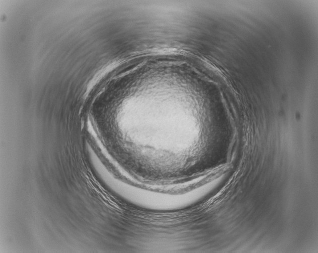 X0000053101171200508081329
