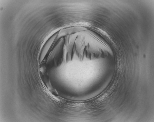 X0000053101184200508081329