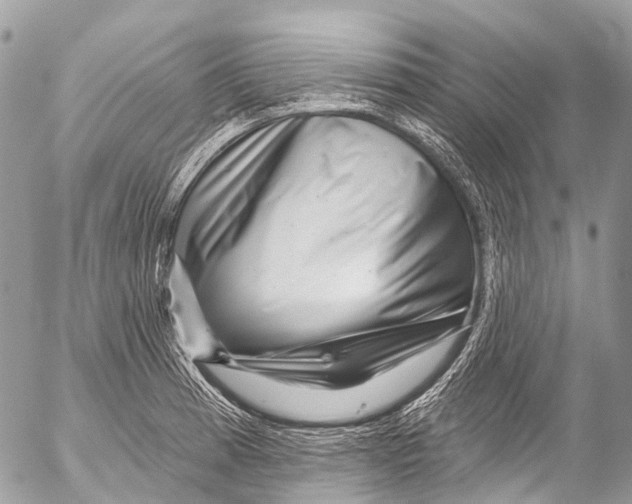 X0000053101185200508081328