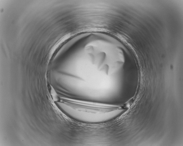 X0000053101189200508081328