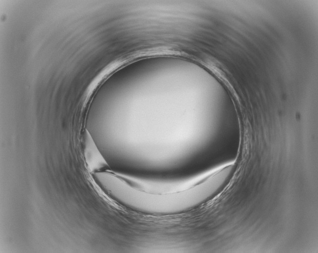 X0000053101197200508081328