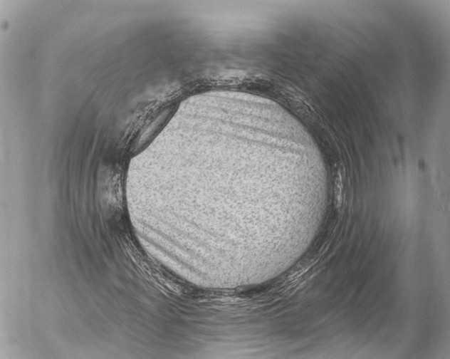 X0000053101204200508081327
