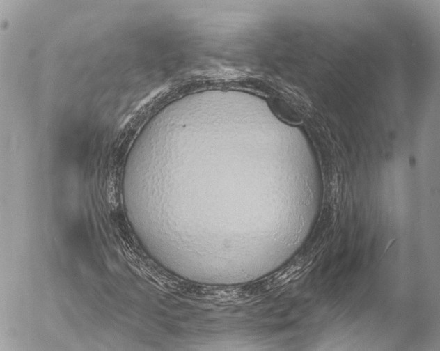 X0000053101205200508081328