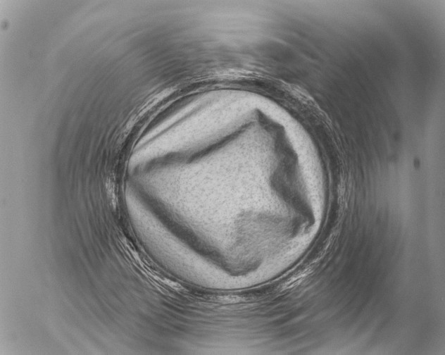 X0000053101209200508081328
