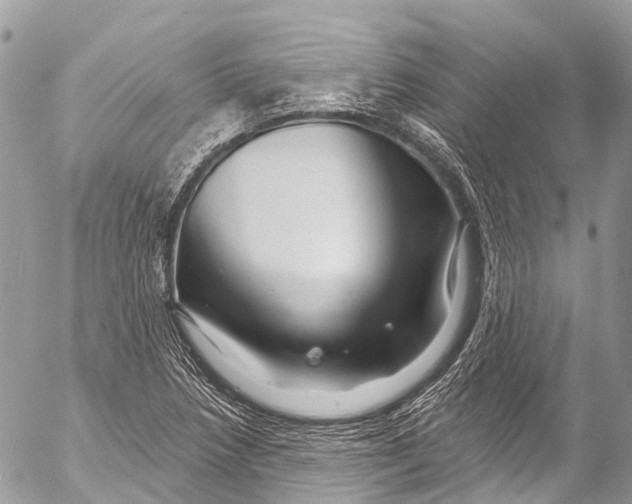X0000053101218200508081328