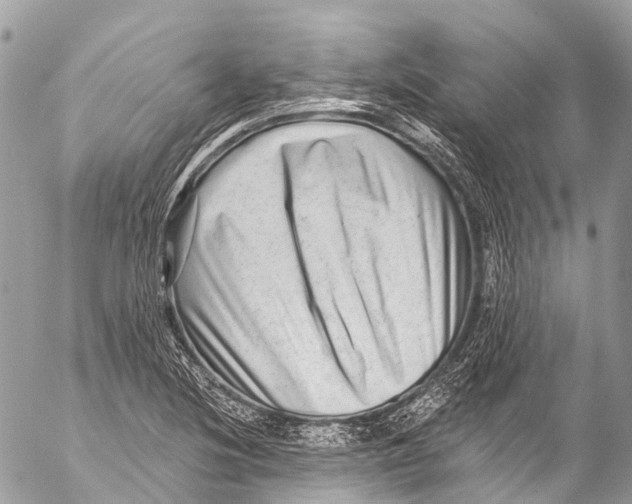 X0000053101220200508081328