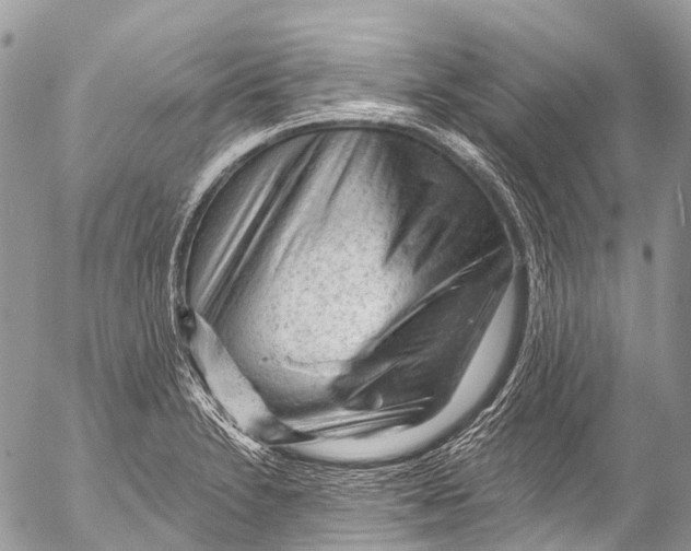 X0000053101230200508081328