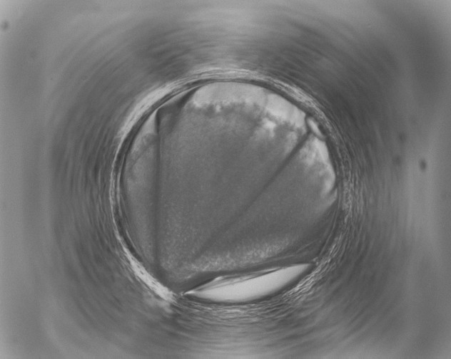 X0000053101231200508081328