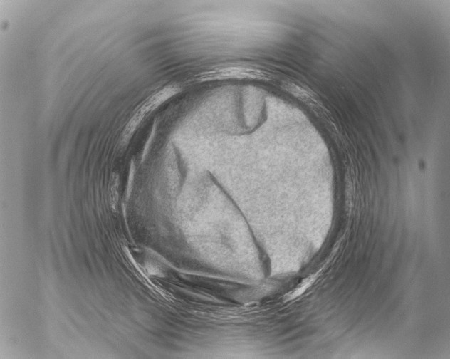 X0000053101233200508081328