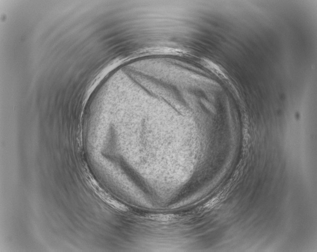 X0000053101236200508081328