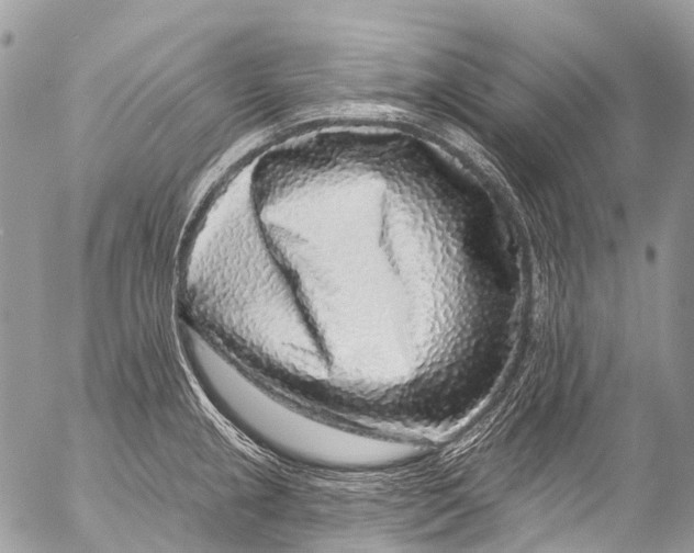 X0000053101237200508081328