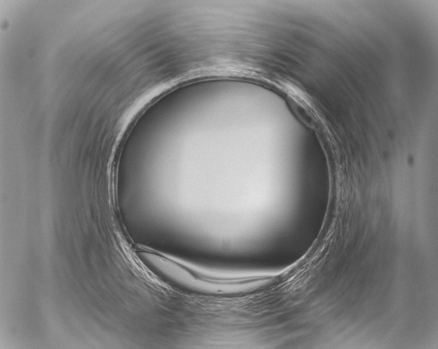 X0000053101238200508081328