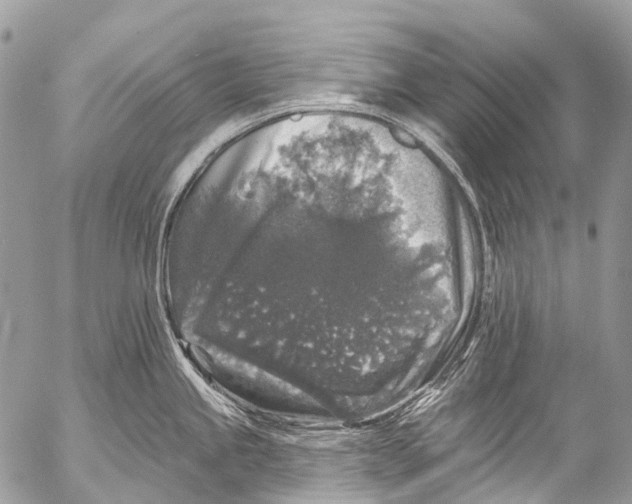 X0000053101245200508081328