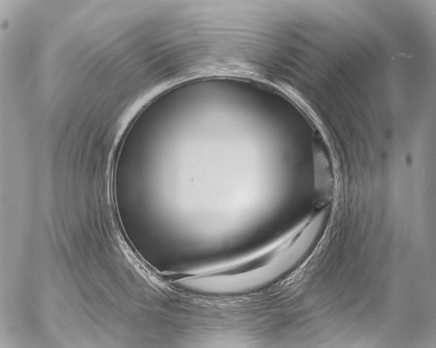 X0000053101246200508081328