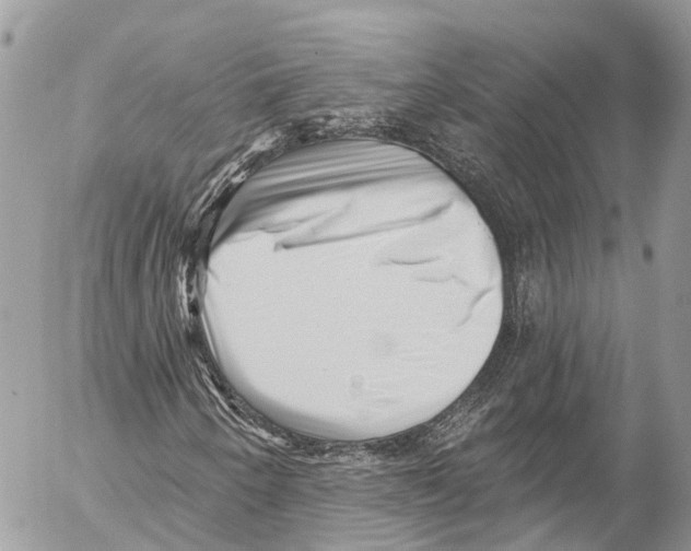 X0000053101250200508081327