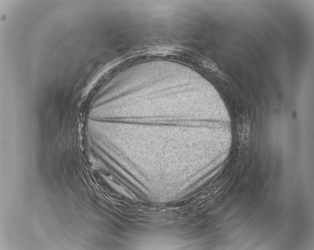 X0000053101256200508081327