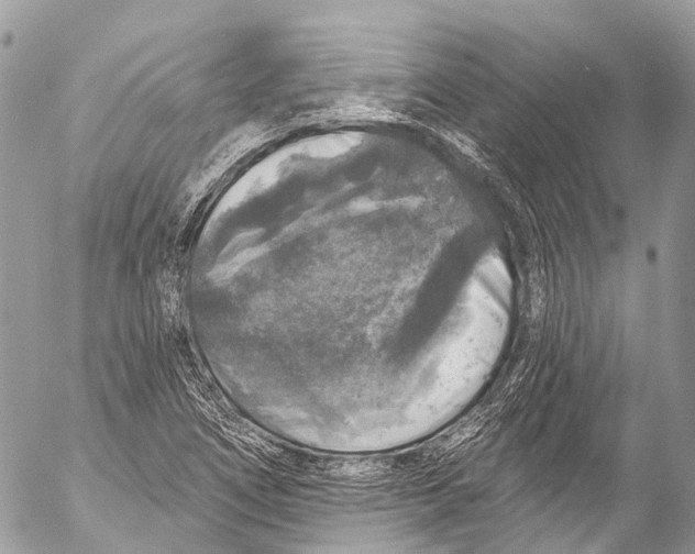 X0000053101266200508081327