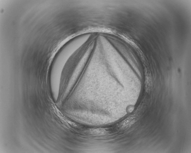 X0000053101272200508081327