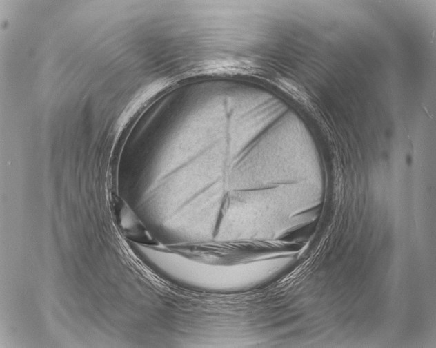 X0000053101277200508081327