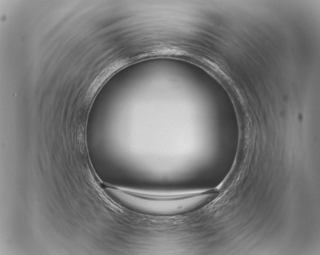 X0000053101281200508081327