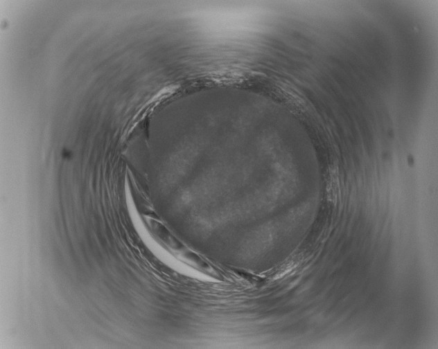 X0000053101298200508081326