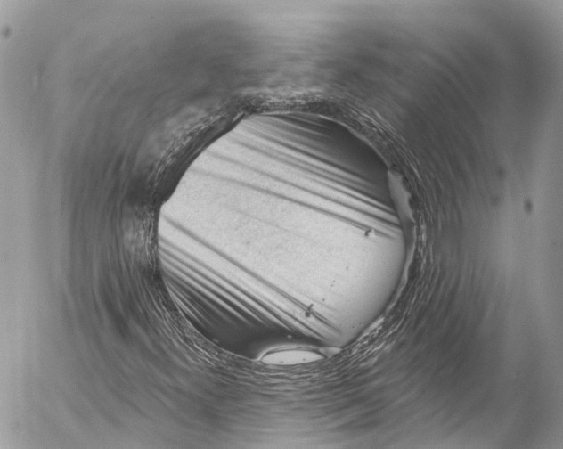 X0000053101300200508081326