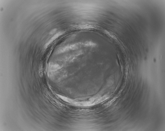 X0000053101306200508081326