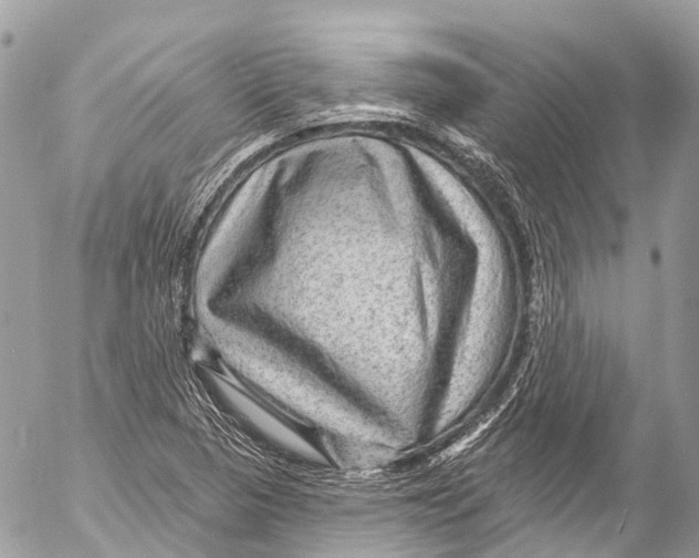 X0000053101313200508081326