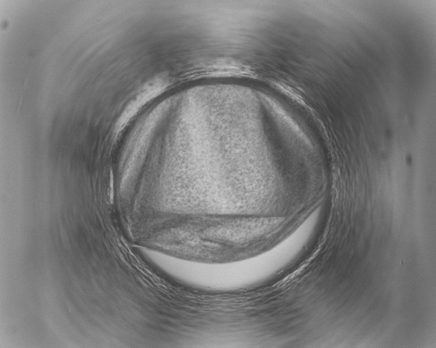 X0000053101317200508081326