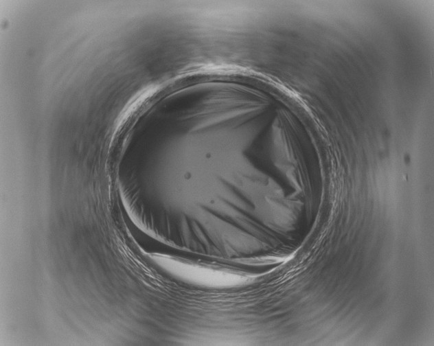 X0000053101319200508081326