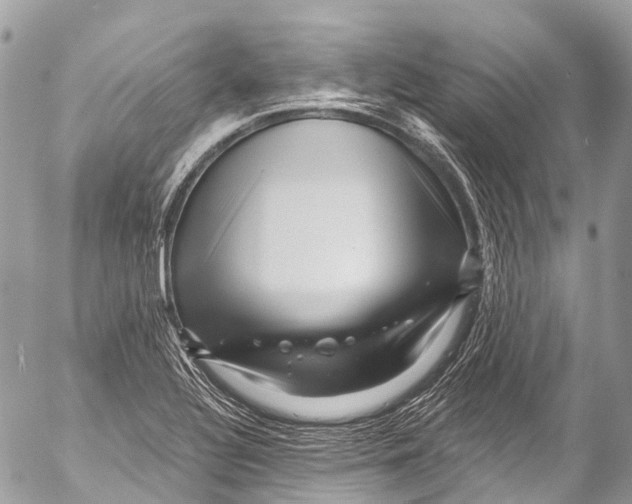 X0000053101320200508081326