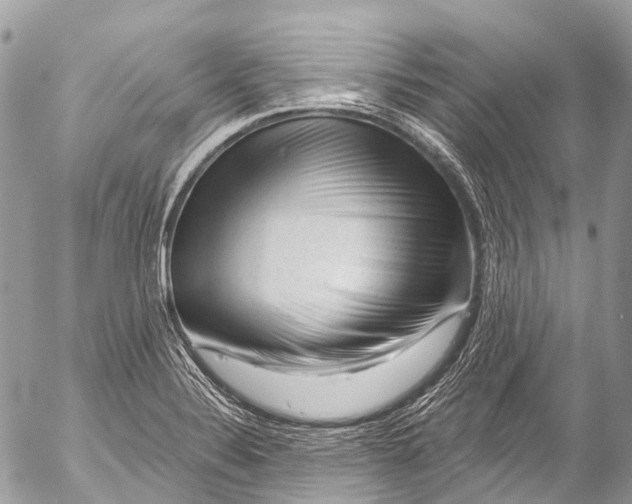 X0000053101324200508081326