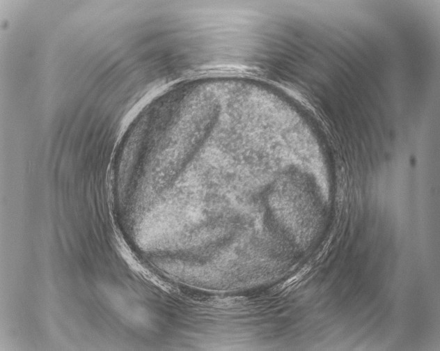 X0000053101325200508081326